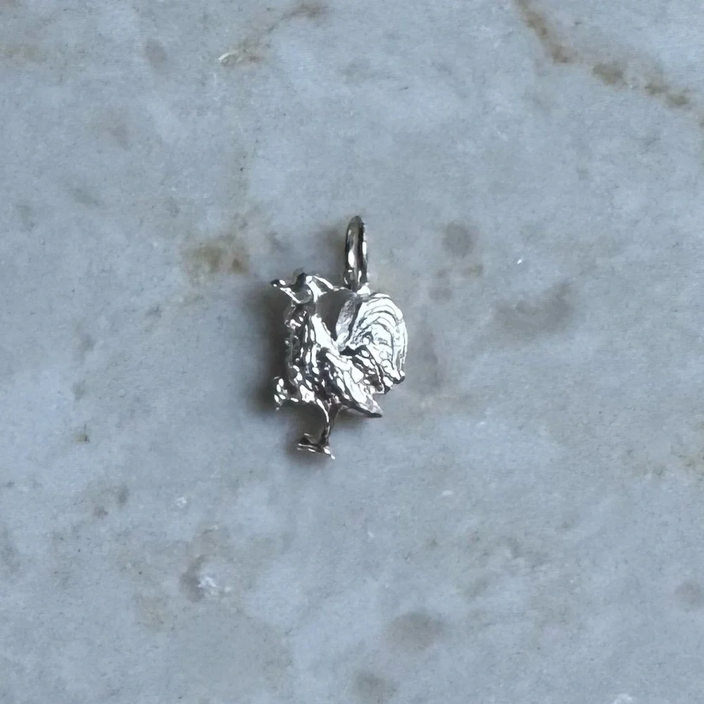 NWOT Sundance Good Morning Pendant, Sterling Silver